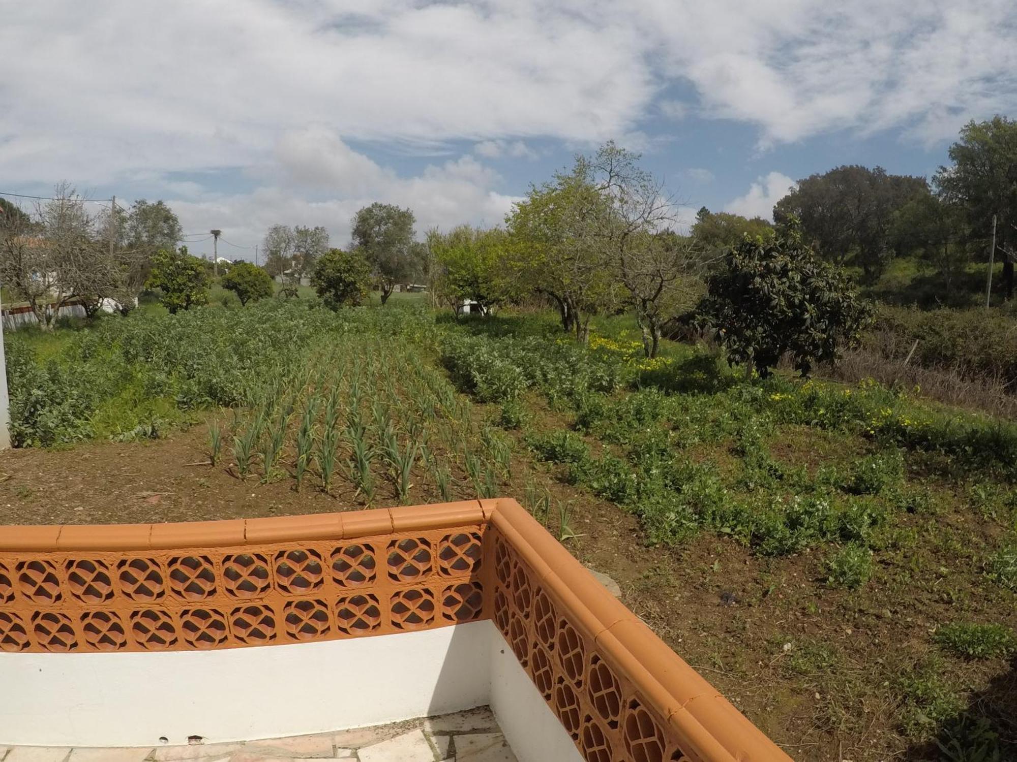 Casa Do Henrique Holiday home *
